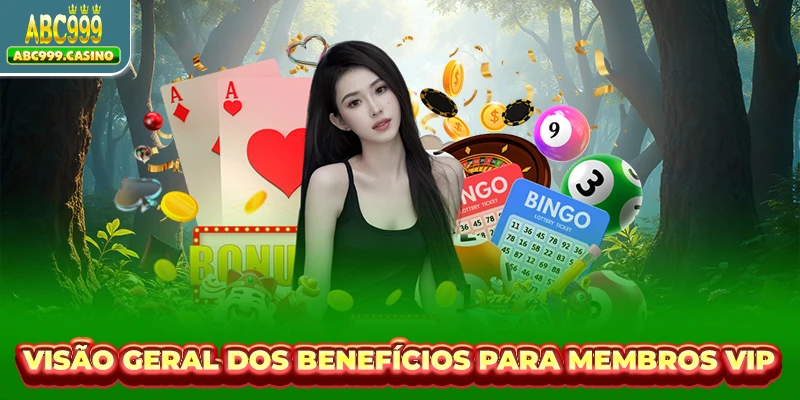 Visão geral dos benefícios para membros VIP
